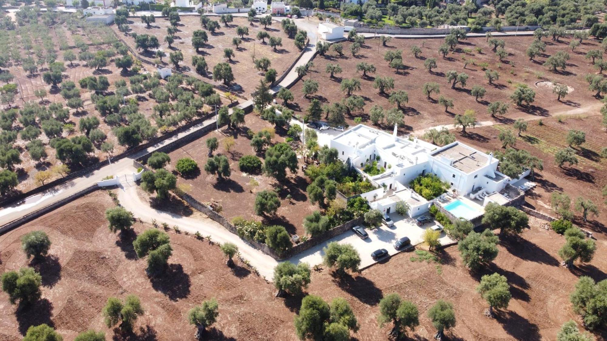 Masseria Stefanodelconte Torre Canne Extérieur photo