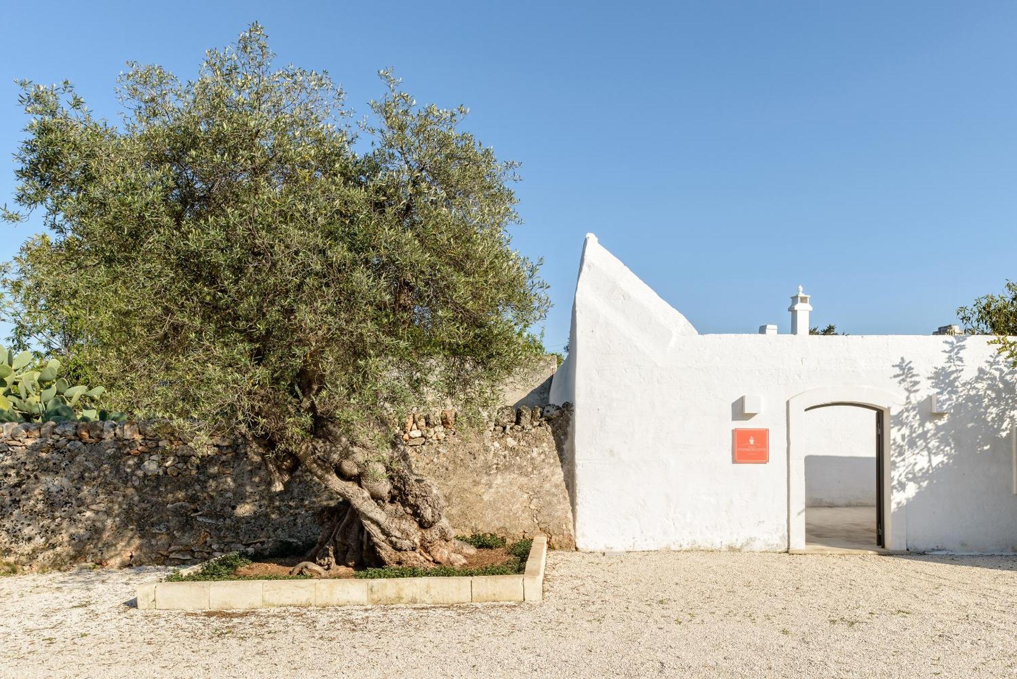 Masseria Stefanodelconte Torre Canne Extérieur photo