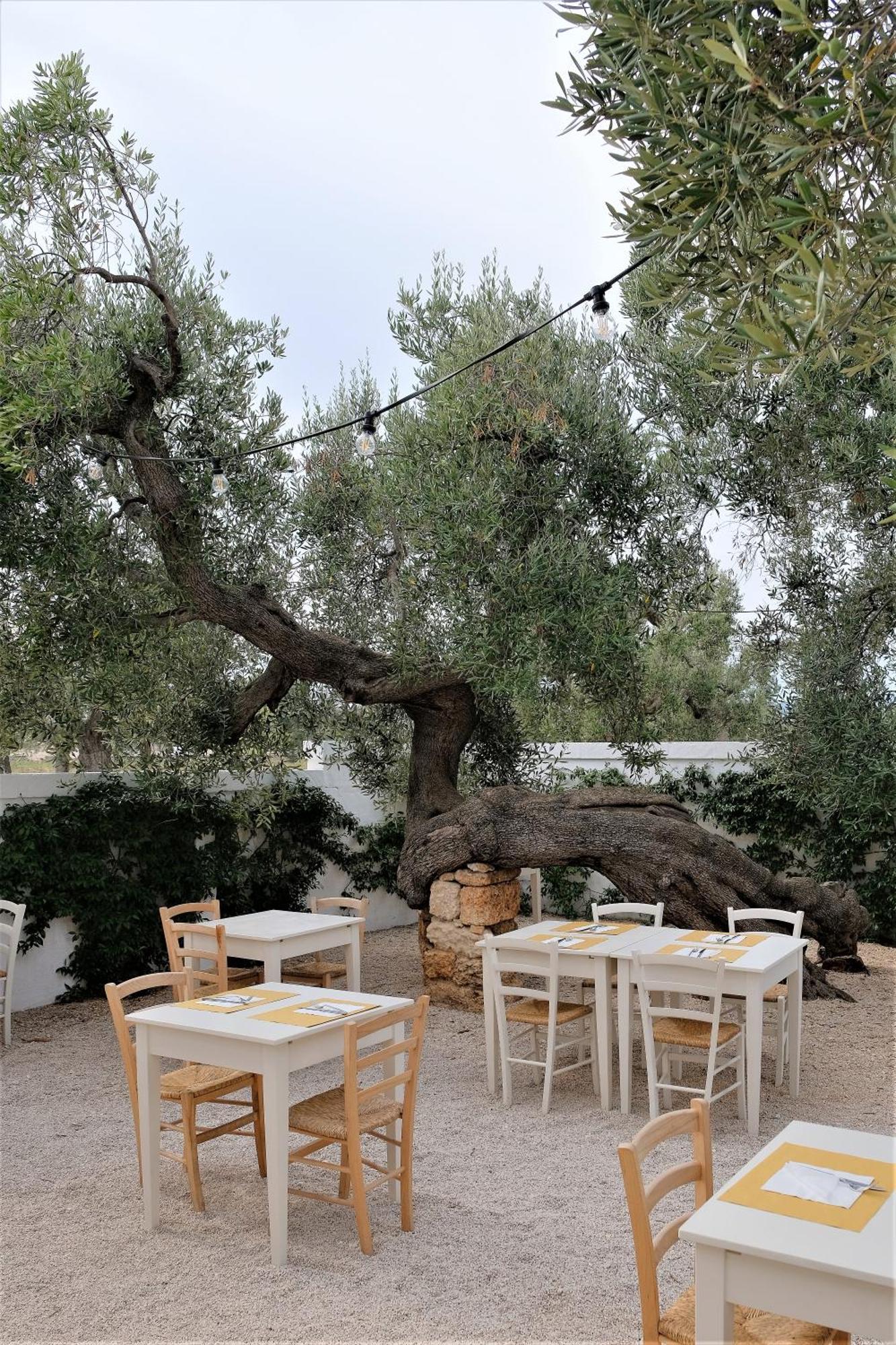 Masseria Stefanodelconte Torre Canne Extérieur photo